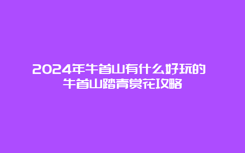 2024年牛首山有什么好玩的 牛首山踏青赏花攻略