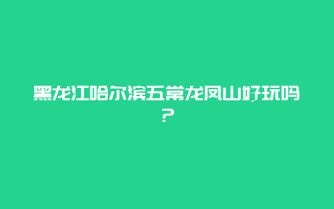 黑龙江哈尔滨五常龙凤山好玩吗？