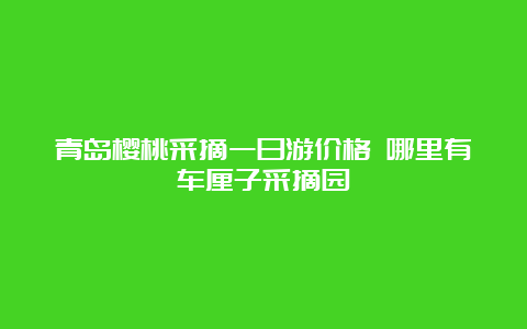 青岛樱桃采摘一日游价格 哪里有车厘子采摘园