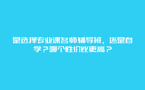 是选择专业课名师辅导班，还是自学？哪个性价比更高？