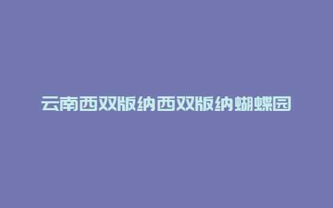 云南西双版纳西双版纳蝴蝶园