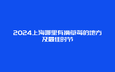 2024上海哪里有摘草莓的地方及最佳时节