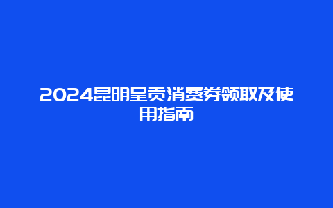 2024昆明呈贡消费券领取及使用指南