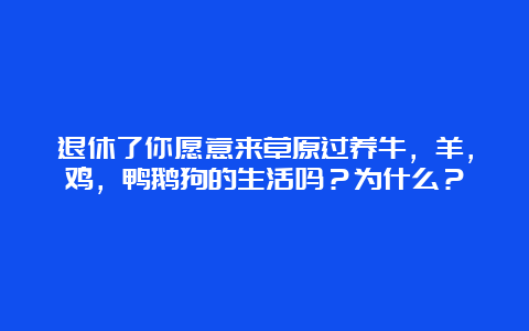 退休了你愿意来草原过养牛，羊，鸡，鸭鹅狗的生活吗？为什么？