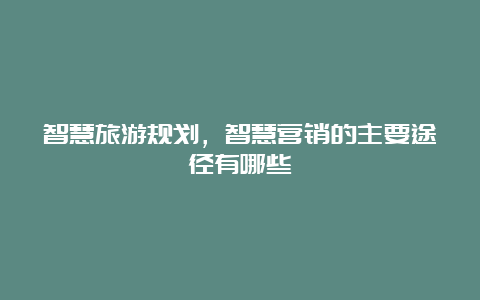 智慧旅游规划，智慧营销的主要途径有哪些