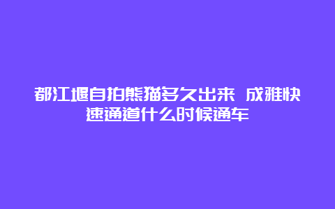 都江堰自拍熊猫多久出来 成雅快速通道什么时候通车