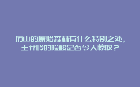 历山的原始森林有什么特别之处，王莽岭的险峻是否令人惊叹？