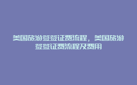 美国旅游签签证费流程，美国旅游签签证费流程及费用