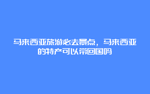 马来西亚旅游必去景点，马来西亚的特产可以带回国吗