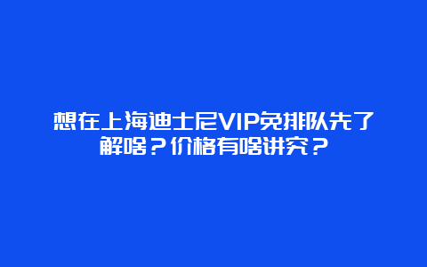 想在上海迪士尼VIP免排队先了解啥？价格有啥讲究？