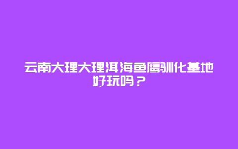 云南大理大理洱海鱼鹰驯化基地好玩吗？