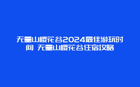 无量山樱花谷2024最佳游玩时间 无量山樱花谷住宿攻略