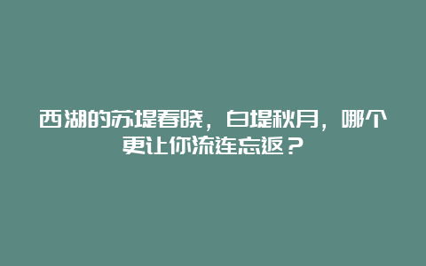 西湖的苏堤春晓，白堤秋月，哪个更让你流连忘返？