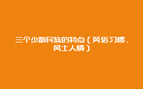 三个少数民族的特点（风俗习惯、风土人情）