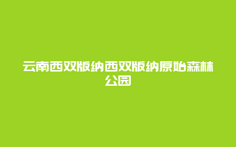 云南西双版纳西双版纳原始森林公园