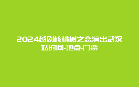 2024越剧核桃树之恋演出武汉站时间-地点-门票