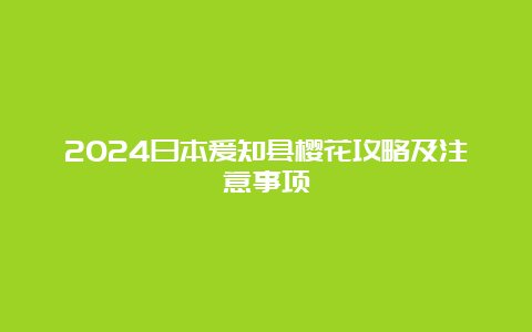 2024日本爱知县樱花攻略及注意事项