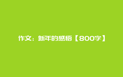 作文：新年的感悟【800字】