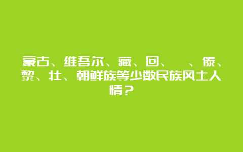 蒙古、维吾尔、藏、回、彝、傣、黎、壮、朝鲜族等少数民族风土人情？