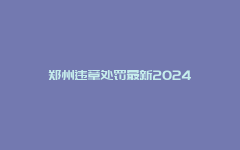 郑州违章处罚最新2024