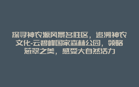 探寻神农源风景名胜区，追溯神农文化-云碧峰国家森林公园，领略葱翠之美，感受大自然活力