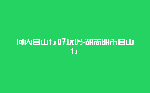 河内自由行好玩吗-胡志明市自由行