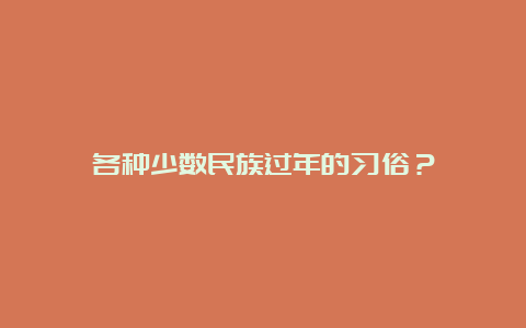 各种少数民族过年的习俗？