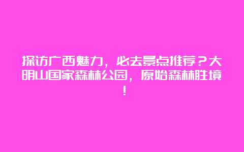 探访广西魅力，必去景点推荐？大明山国家森林公园，原始森林胜境！