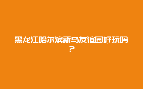 黑龙江哈尔滨新乌友谊园好玩吗？