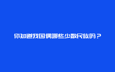 你知道我国偶哪些少数民族吗？