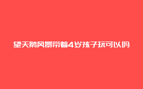 望天鹅风景带着4岁孩子玩可以吗