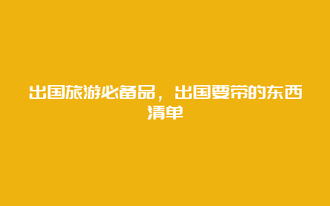 出国旅游必备品，出国要带的东西清单