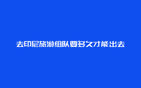 去印尼旅游组队要多久才能出去