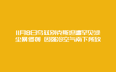 11月8日乌兹别克斯坦遭罕见沙尘暴侵袭 因强冷空气南下所致