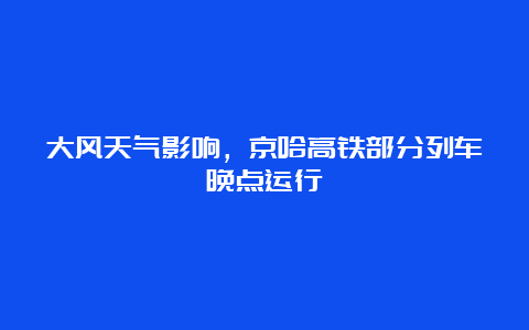 大风天气影响，京哈高铁部分列车晚点运行