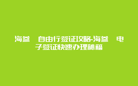 海参崴自由行签证攻略-海参崴电子签证快速办理秘籍