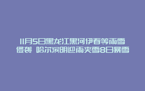 11月5日黑龙江黑河伊春等雨雪侵袭 哈尔滨明迎雨夹雪8日暴雪