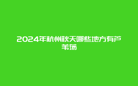 2024年杭州秋天哪些地方有芦苇荡