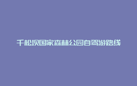 千松坝国家森林公园自驾游路线