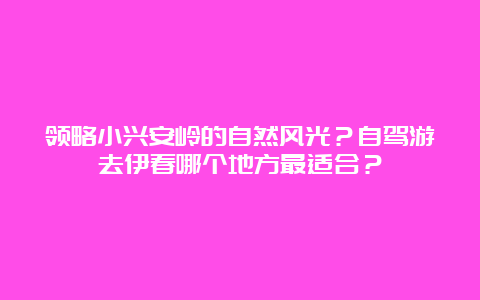 领略小兴安岭的自然风光？自驾游去伊春哪个地方最适合？