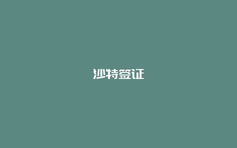 沙特签证