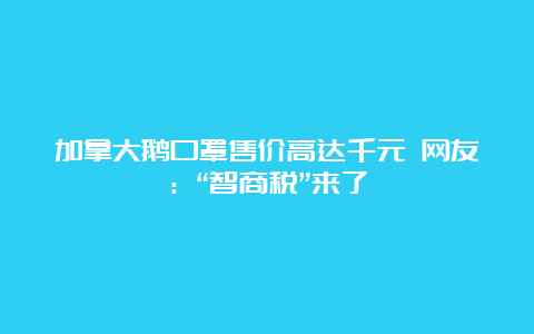 加拿大鹅口罩售价高达千元 网友：“智商税”来了