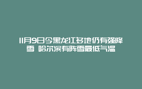 11月9日今黑龙江多地仍有强降雪 哈尔滨有阵雪最低气温