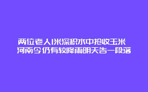 两位老人1米深积水中抢收玉米 河南今仍有较降雨明天告一段落