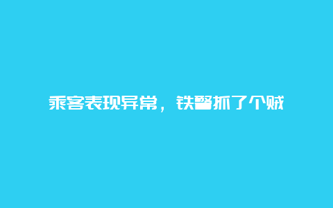 乘客表现异常，铁警抓了个贼