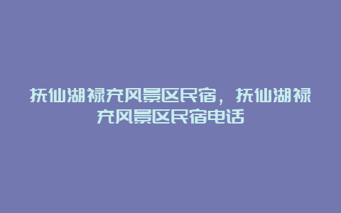 抚仙湖禄充风景区民宿，抚仙湖禄充风景区民宿电话