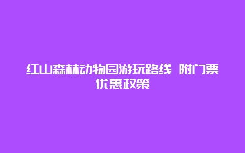 红山森林动物园游玩路线 附门票优惠政策