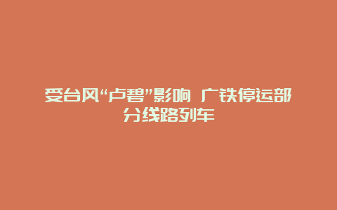 受台风“卢碧”影响 广铁停运部分线路列车