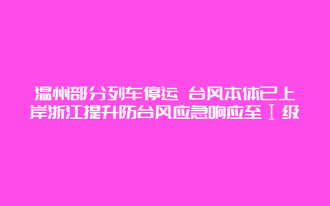 温州部分列车停运 台风本体已上岸浙江提升防台风应急响应至Ⅰ级