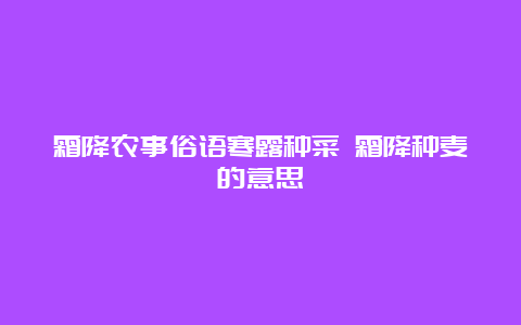 霜降农事俗语寒露种菜 霜降种麦的意思